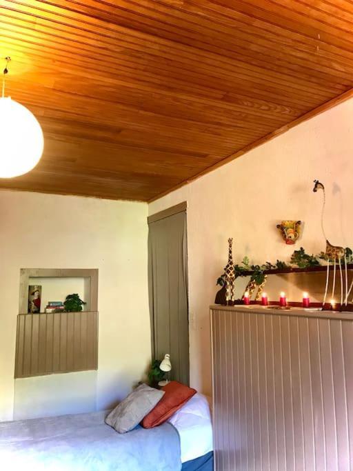 Maison Des Sequoias - Parc 1 Hectare- Veyrac Zewnętrze zdjęcie