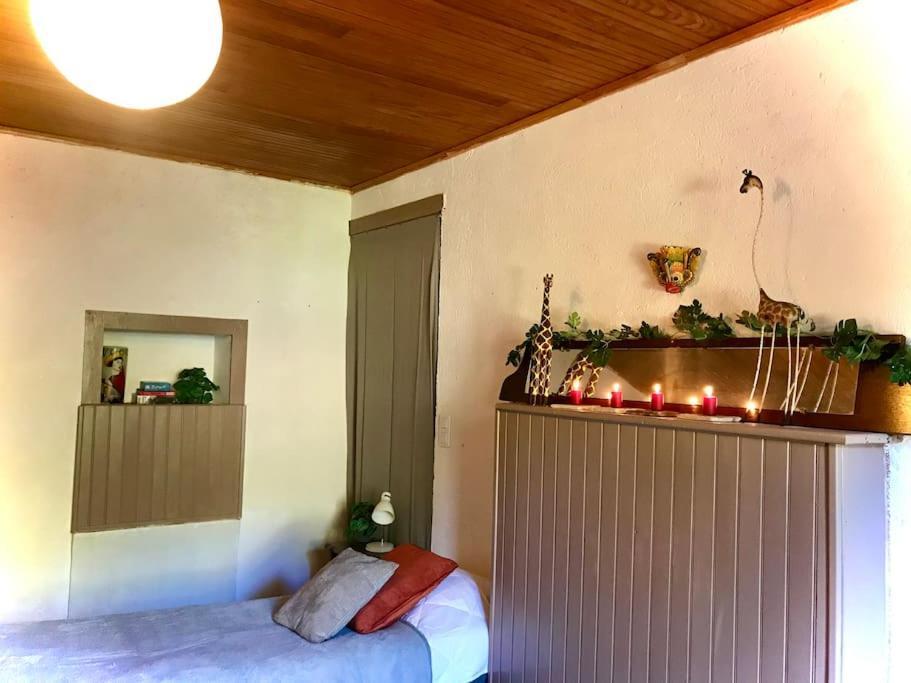 Maison Des Sequoias - Parc 1 Hectare- Veyrac Zewnętrze zdjęcie