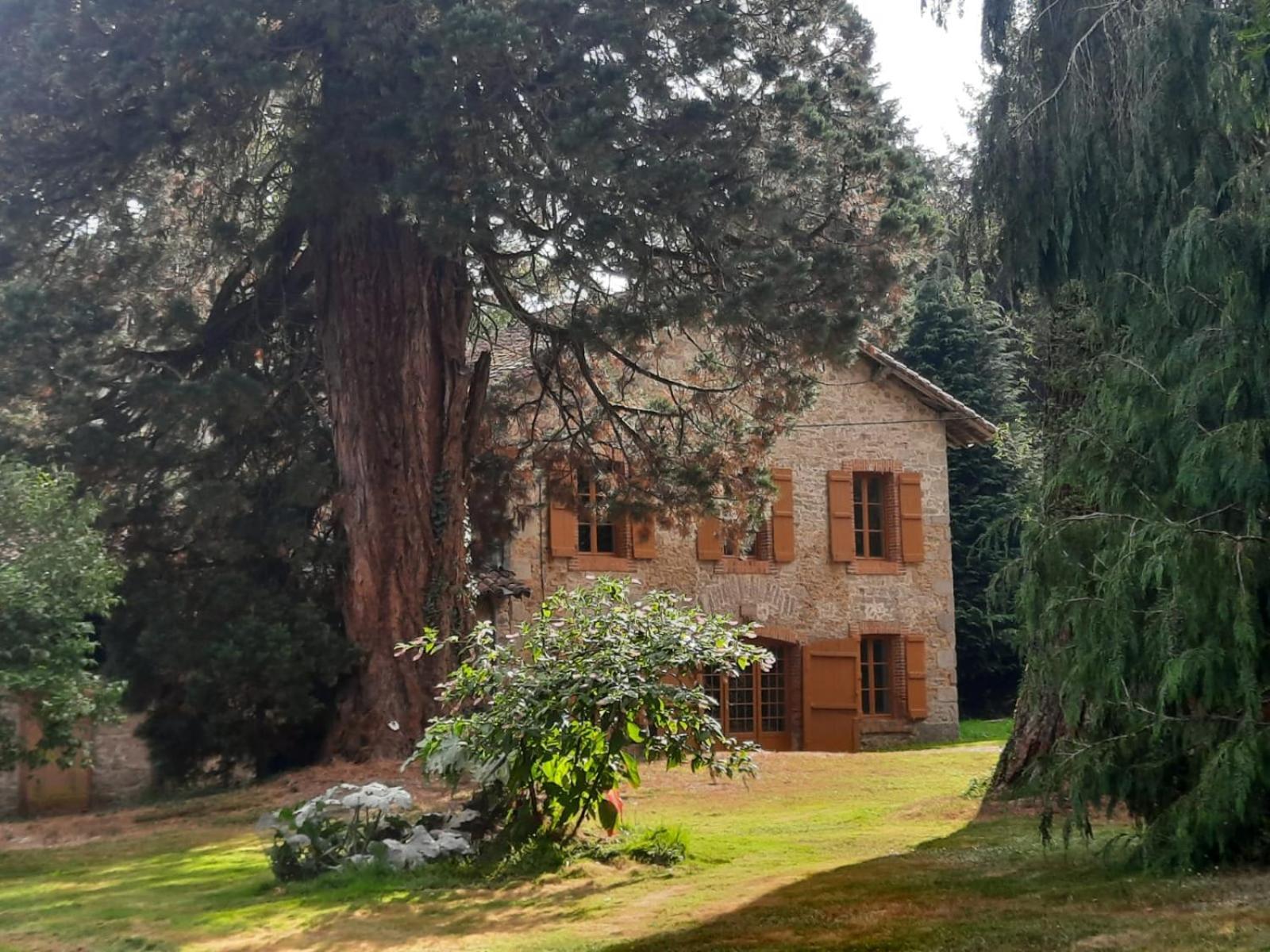 Maison Des Sequoias - Parc 1 Hectare- Veyrac Zewnętrze zdjęcie